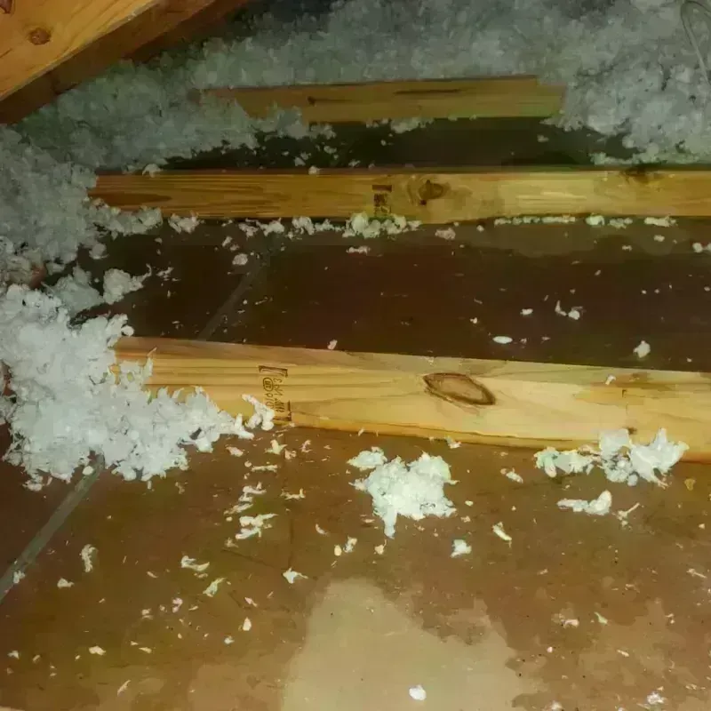 Attic Water Damage in Eureka, MT