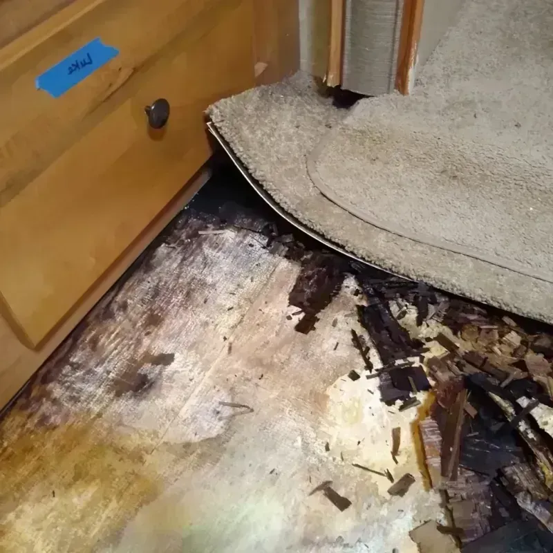 Wood Floor Water Damage in Eureka, MT